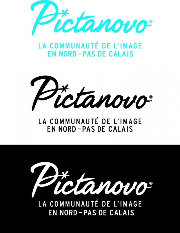 Association chargée de la mise en oeuvre de politique cinématographique et audiovisuelle Tourcoing Pictanovo